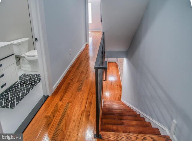 stairs with hardwood / wood-style flooring