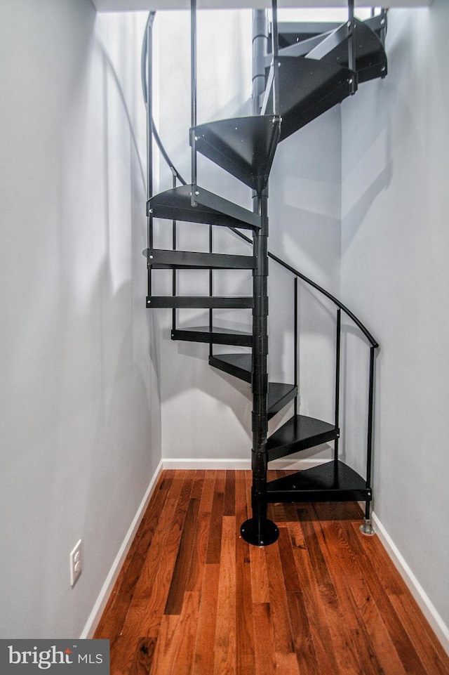 stairway featuring hardwood / wood-style floors