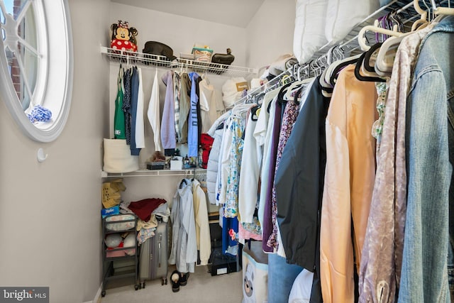 spacious closet with carpet