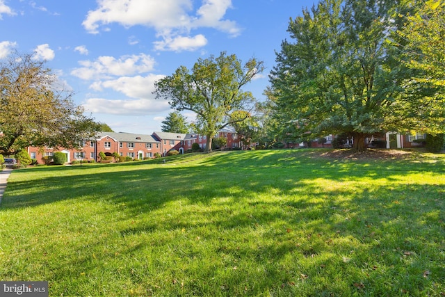 view of yard