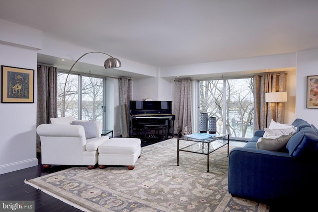 living room with dark hardwood / wood-style flooring