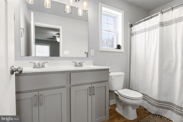 bathroom featuring vanity, wood-type flooring, curtained shower, and toilet