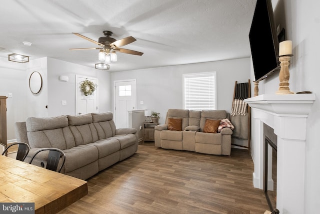 living room with ceiling fan and hardwood / wood-style floors