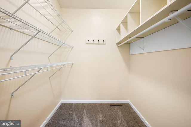 spacious closet with carpet floors and visible vents