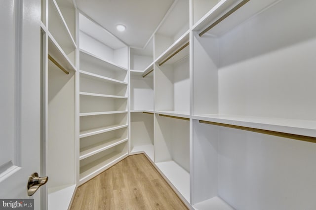 walk in closet featuring light wood finished floors