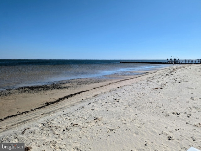 water view featuring a beach view