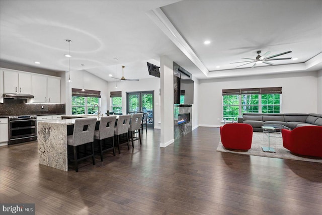 450 Marley Run, Huntingtown, MD 20639 - kitchen featuring range with two ovens, open floor plan, dark wood-style floors, and ceiling fan