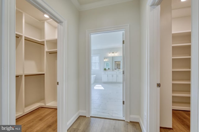 interior space featuring light wood-style flooring