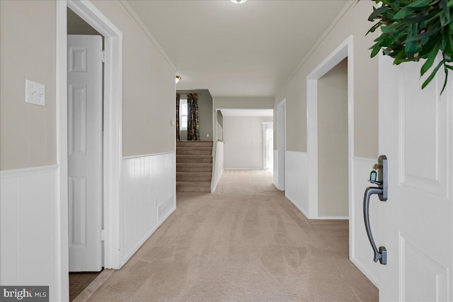 corridor with crown molding and light colored carpet