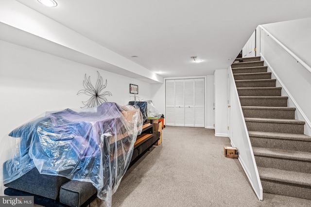 basement featuring carpet