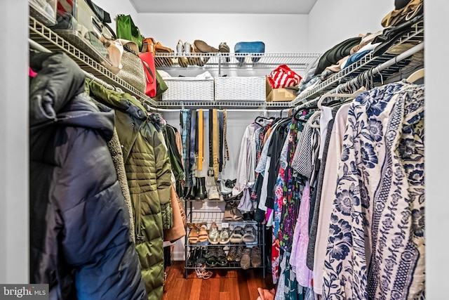 spacious closet featuring hardwood / wood-style floors