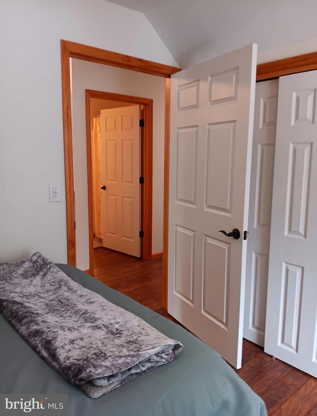 bedroom featuring vaulted ceiling, dark wood finished floors, and a closet