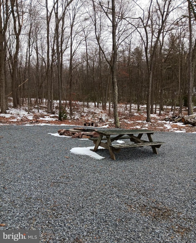 view of yard covered in snow