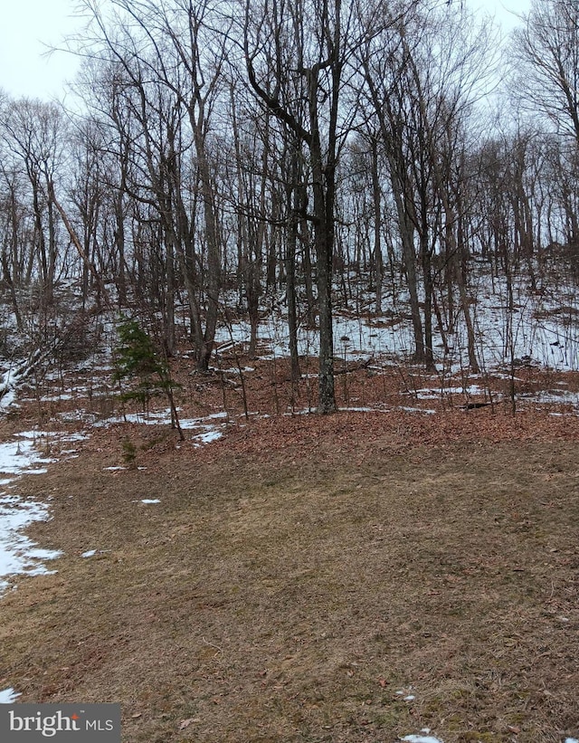 view of yard covered in snow