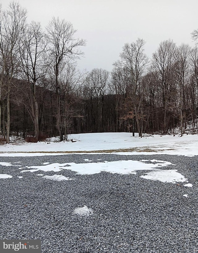 view of snowy yard