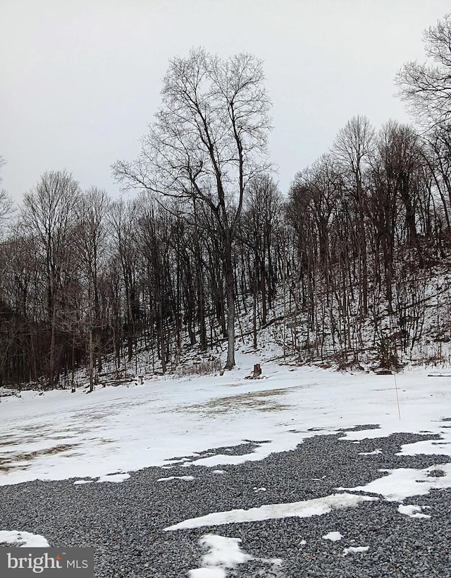 view of yard covered in snow