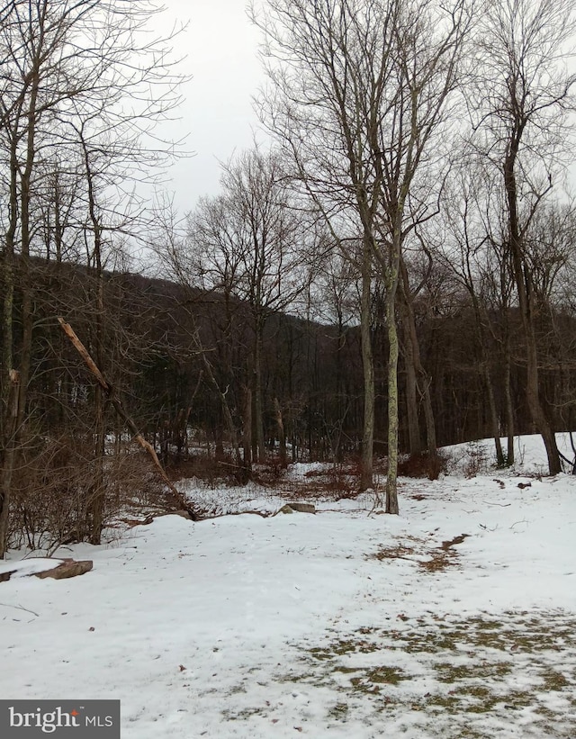 view of snow covered land