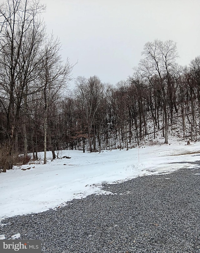 view of yard covered in snow