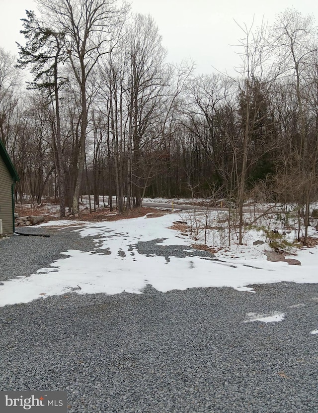 view of yard covered in snow