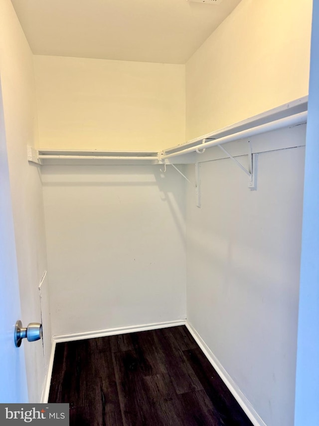 walk in closet featuring dark wood-type flooring