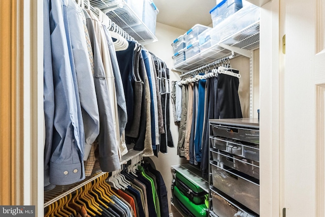 view of spacious closet