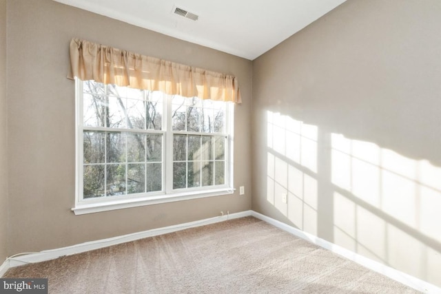 empty room with carpet floors and a healthy amount of sunlight