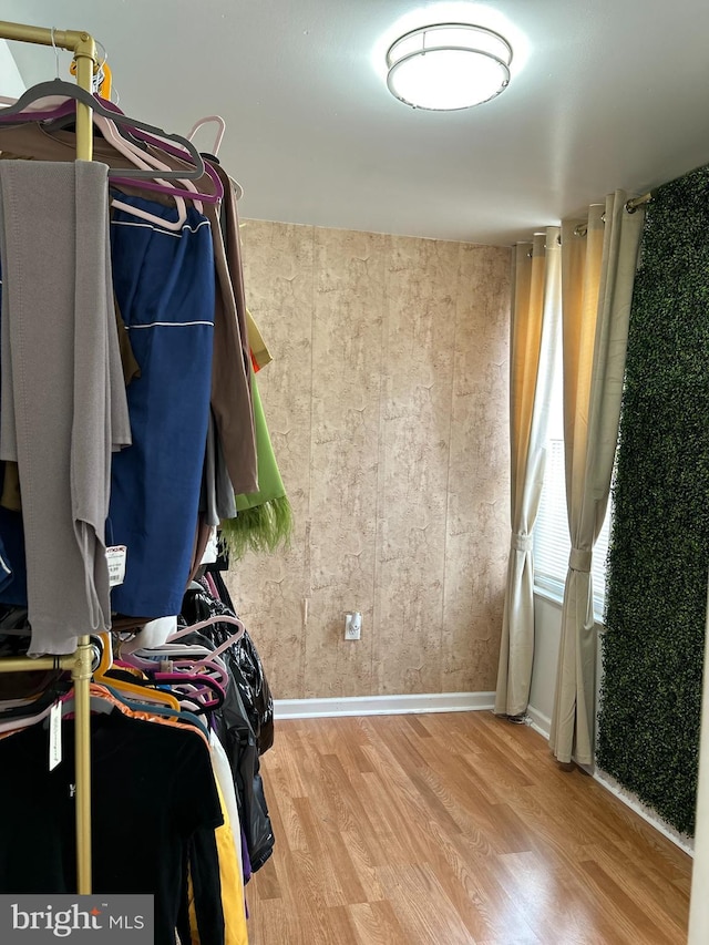 spacious closet with light hardwood / wood-style flooring