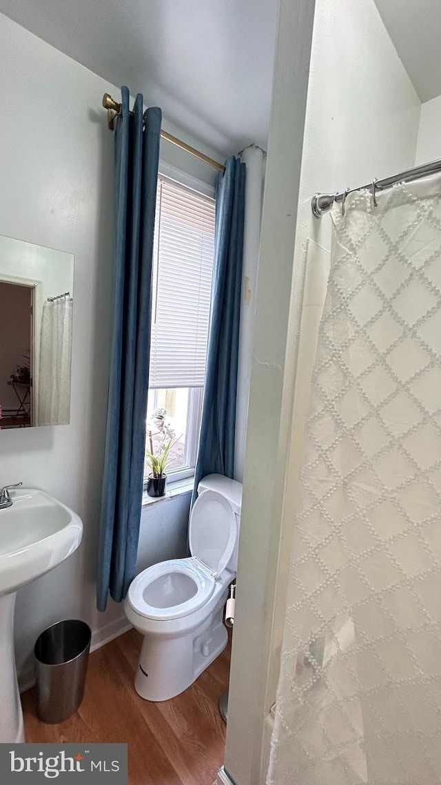 bathroom with hardwood / wood-style flooring, toilet, and sink