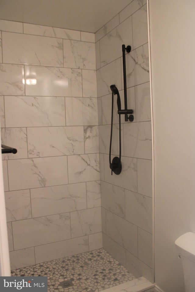 bathroom with a stall shower and toilet