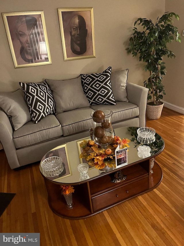 living room featuring hardwood / wood-style flooring