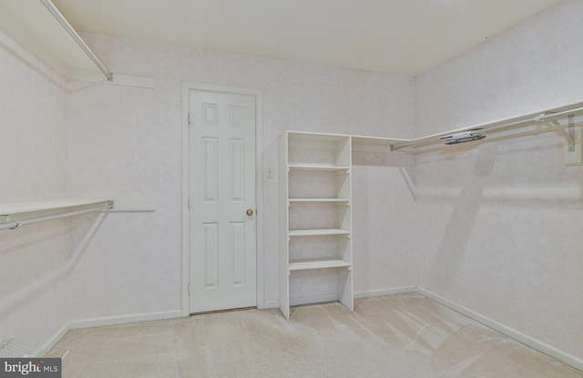walk in closet featuring carpet