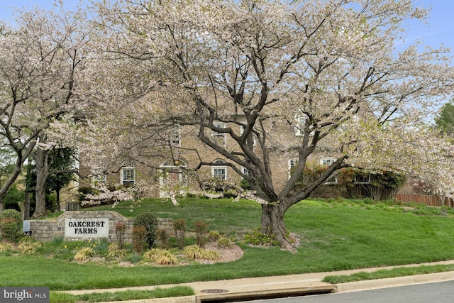 view of home's community featuring a lawn
