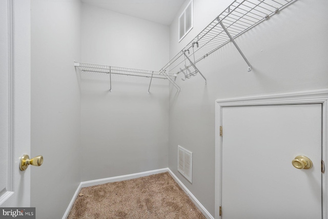 spacious closet with carpet floors and visible vents