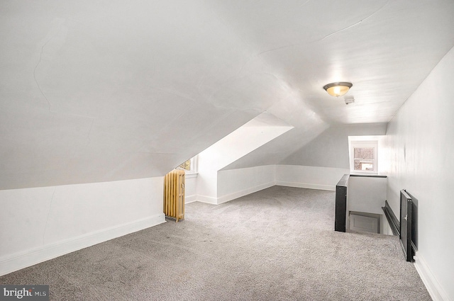 additional living space featuring carpet floors, a wealth of natural light, and lofted ceiling