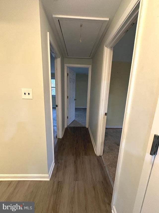 corridor with dark hardwood / wood-style flooring