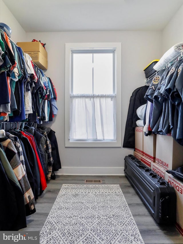 walk in closet featuring wood-type flooring