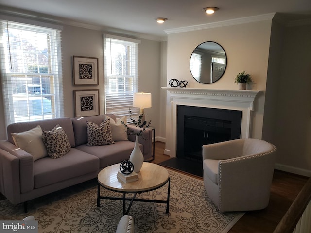 living room with crown molding and wood-type flooring