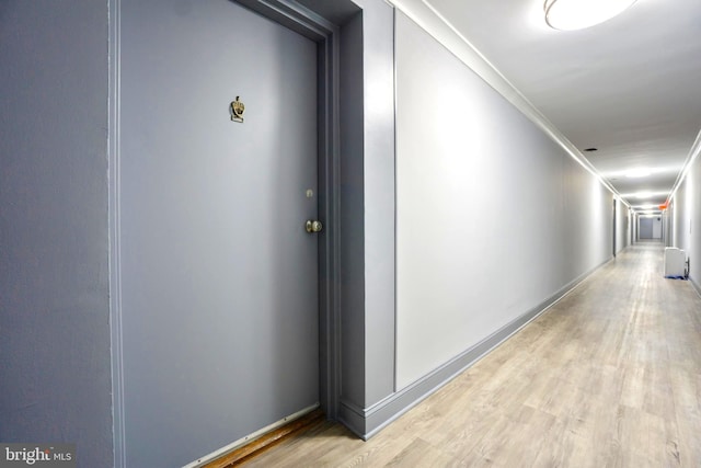 hallway featuring crown molding and light hardwood / wood-style floors