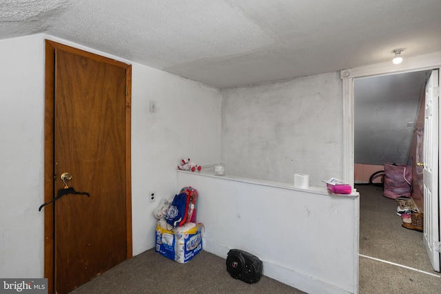 miscellaneous room with carpet flooring and a textured ceiling