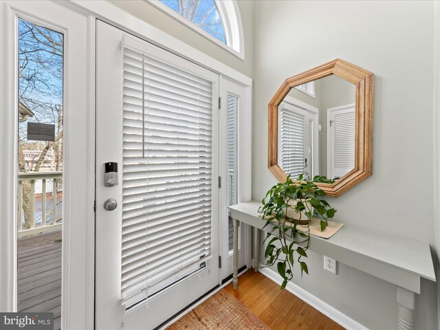 foyer entrance with baseboards and wood finished floors