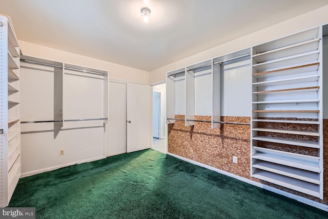 spacious closet featuring carpet floors