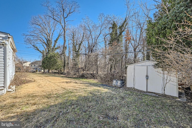 view of yard with a storage unit