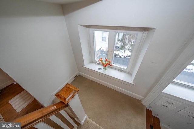 room details with carpet and baseboards