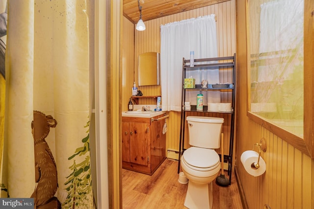 bathroom with toilet, hardwood / wood-style flooring, and vanity