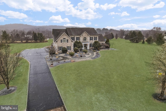 view of front of home featuring a mountain view and a front yard