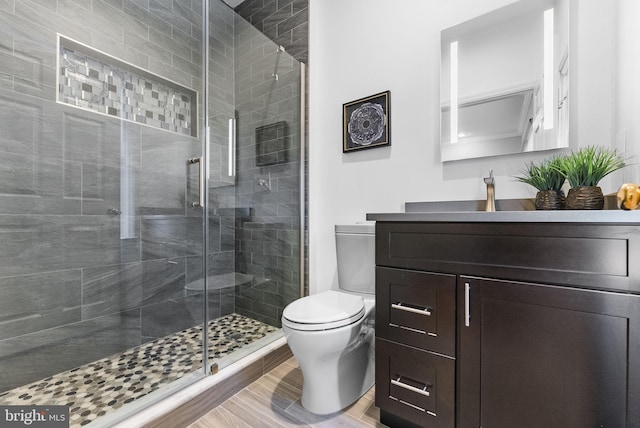 bathroom with vanity, toilet, and a shower with door