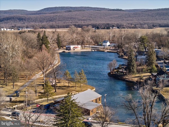 property view of water featuring a mountain view