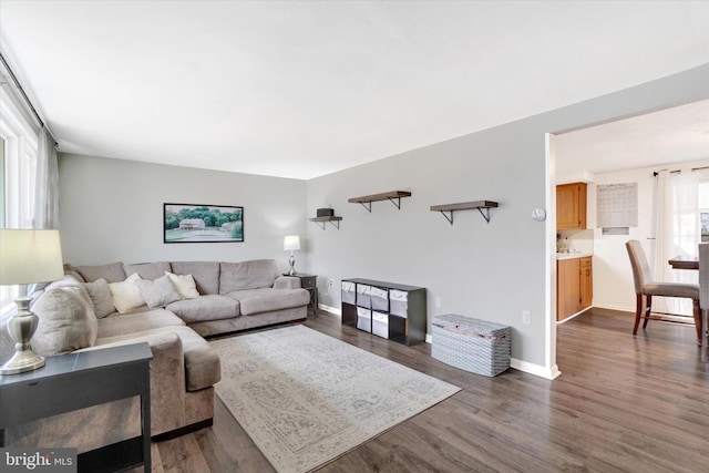 living room with dark wood-type flooring