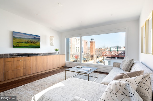 living area featuring a view of city and dark wood finished floors