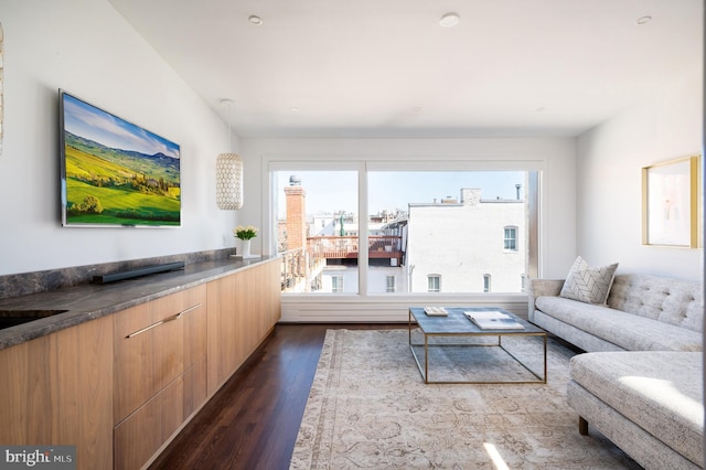 living area featuring dark wood finished floors